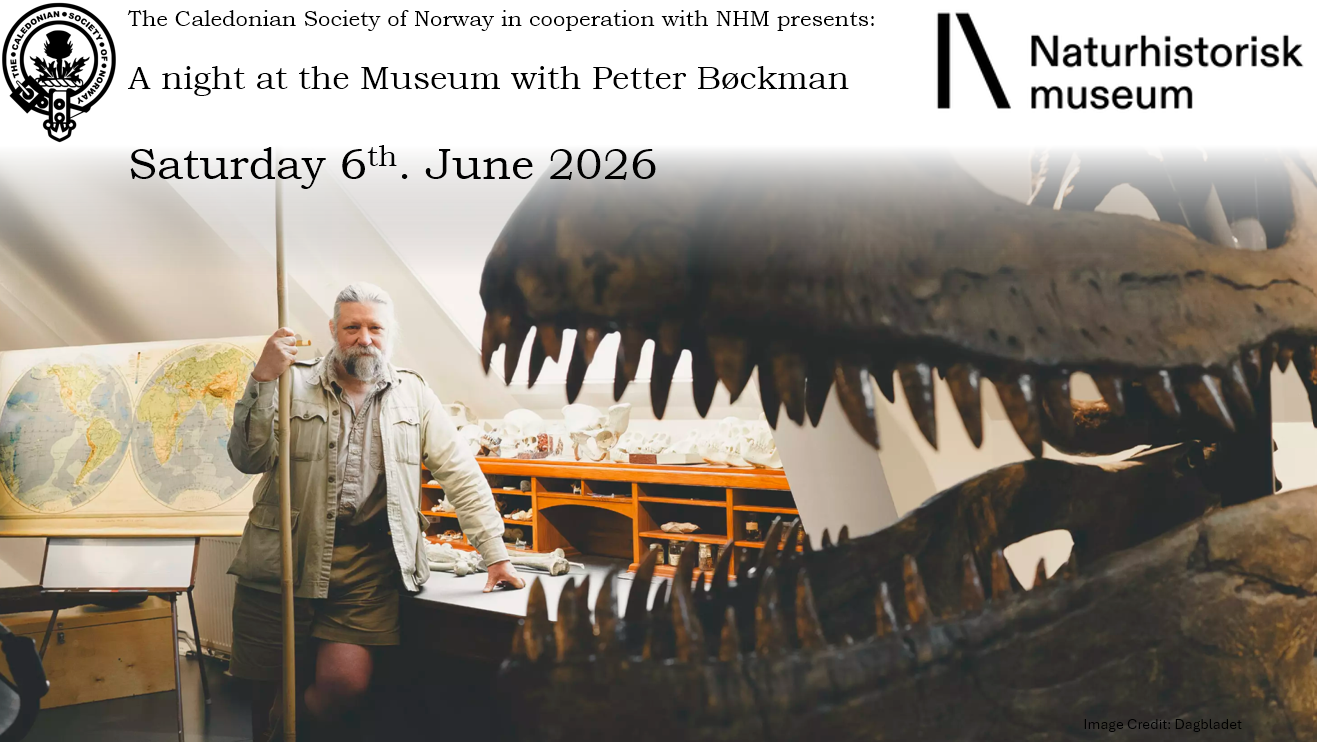 A night at the museum